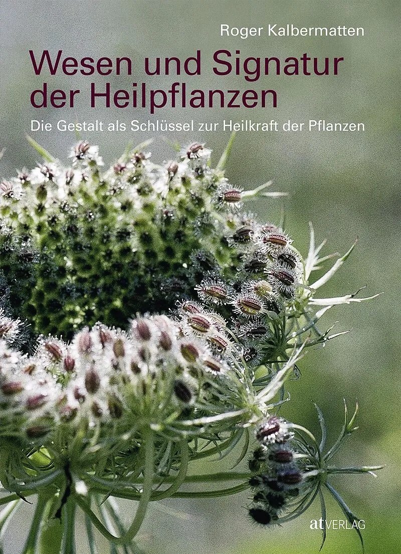 image-11865887-Heilpflanzen_-_1-c51ce.w640.jpg